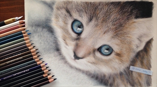 色鉛筆で描いたネコさん