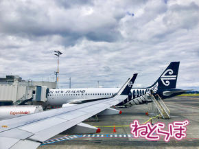 Air New Zealand j[W[hq