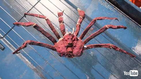 タラバガニ 漁獲 ゲーム Fishing Barents Sea King Crab