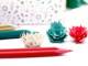 削りかすが花びらになる「花色鉛筆」にクリスマスエディション登場　ツリーと雪の結晶とポインセチアの3色
