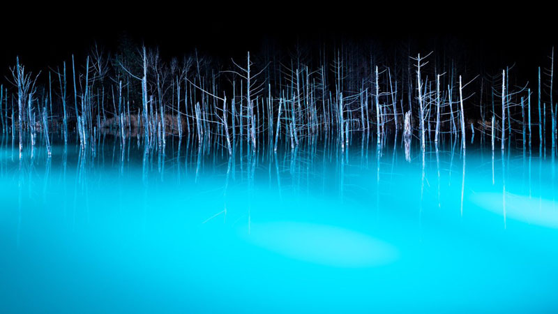 北海道 美瑛町の青い池 の風景が神がかり的に美しい L Kutsu blue06 Jpg ねとらぼ