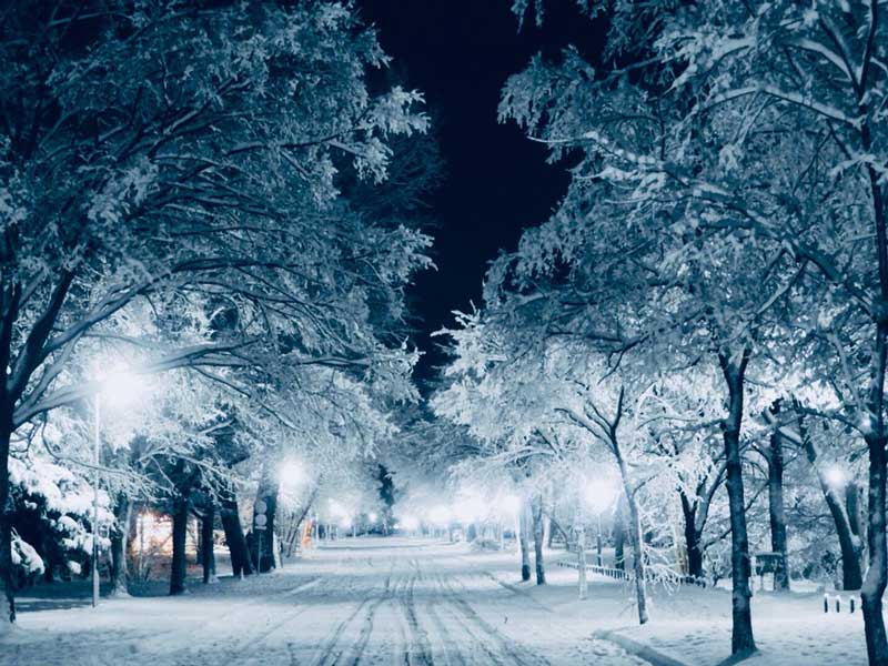 北海道大学の雪景色が幻想的 静かな夜の純白世界に めちゃくちゃ奇麗 の声 L Miya 1811hokudaiphoto02 Jpg ねとらぼ