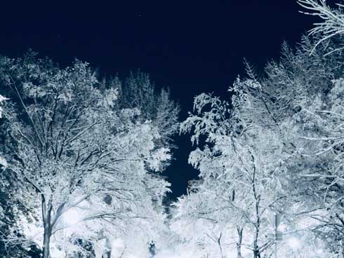 北海道大学の雪景色が幻想的 静かな夜の純白世界に めちゃくちゃ奇麗 の声 ねとらぼ