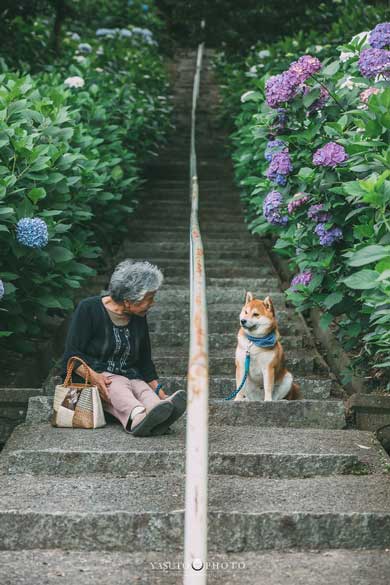 お祖母さまを撮影した 祖母グラフィー に感動の声続々 涙が溢れてきた 家族を撮りたくなった ねとらぼ