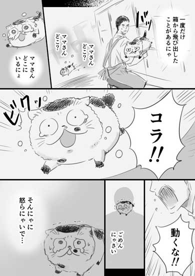おじさまと猫 コミックス 2巻 ふくまる 漫画 桜井海
