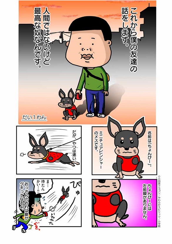 飼うまでは 犬が死んだくらいで と思ってたけど おっさん漫画家と3本足ワンコの漫画がグッとくる 1 2 ページ ねとらぼ