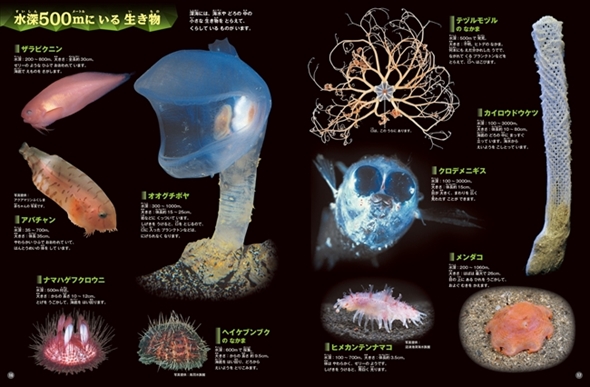 深海の生き物
