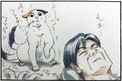 気まぐれな猫となつかれていないお父さんのやりとりが あるある 4コマ漫画 拾い猫のモチャ 単行本発売 ねとらぼ