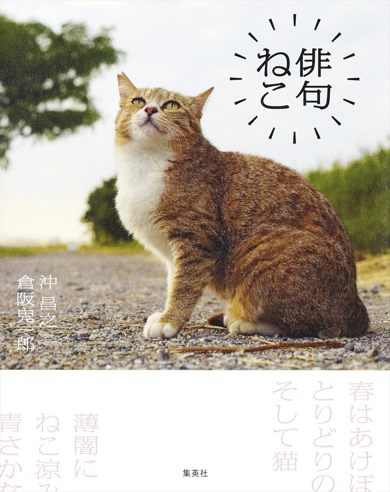 言葉を添えると世界が広がる 猫写真と俳句がコラボした本 俳句ねこ が面白そう ねとらぼ