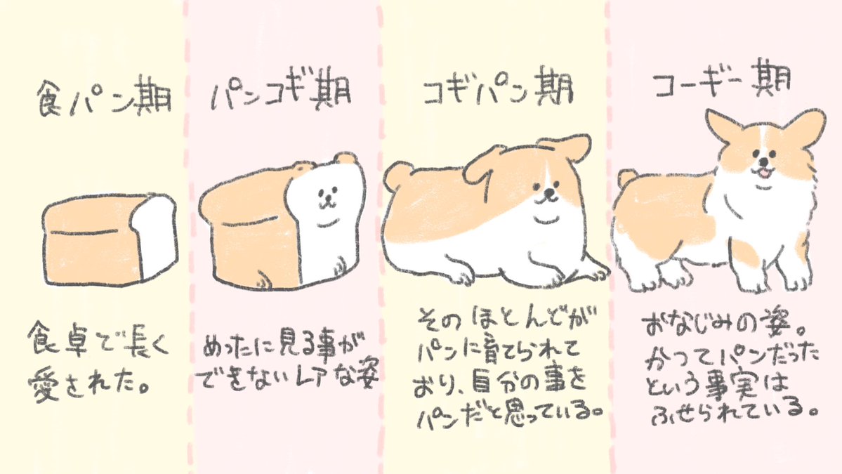 食パンは進化をたどってコーギーになった かわいいイラストに そう