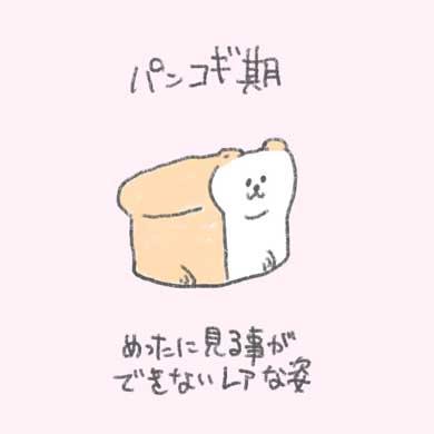 食パンは進化をたどってコーギーになった かわいいイラストに そうだったのか 前から思ってた の声 ねとらぼ