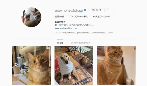 石田ゆり子 犬猫アカウント タビ ハニオ Instagram