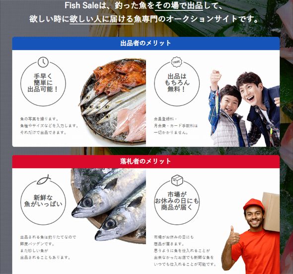 Fish Sale オークション　魚　厚生労働省　食品衛生法