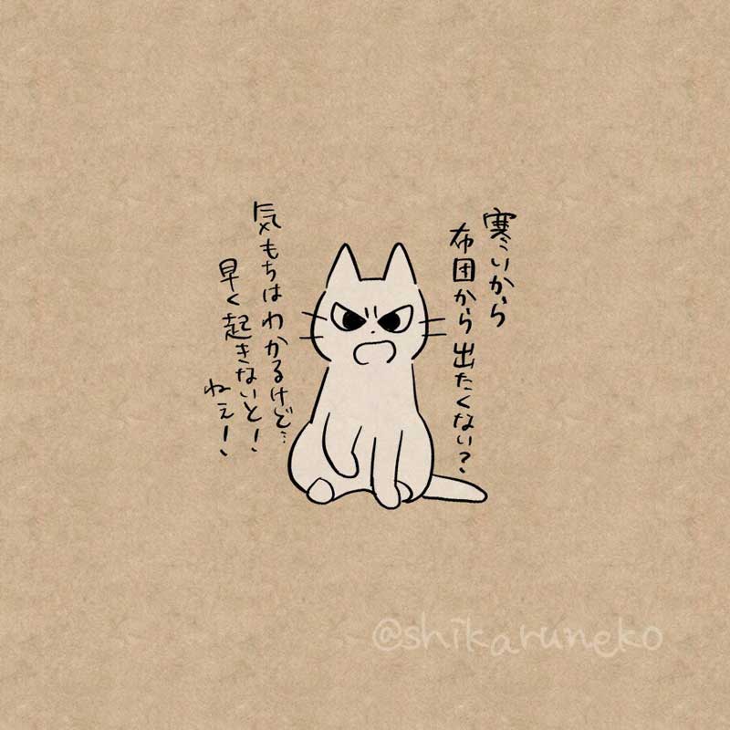 強く優しい言葉にありがとう 一生懸命に叱ってくれる白猫 しかるねこ は照れる姿もかわいい 1 2 ページ ねとらぼ