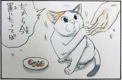 猫 あるある 幸せ 表情 4コマ漫画 拾い猫のモチャ 単行本 2巻 海外進出 にごたろ