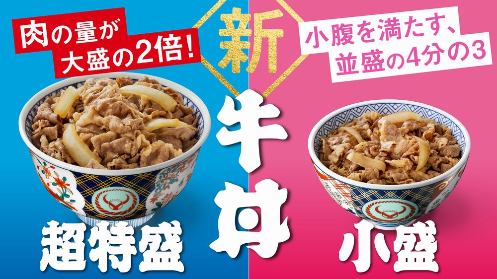 トシさん 専用】 すき家 特盛どんぶり (新品) - 食器