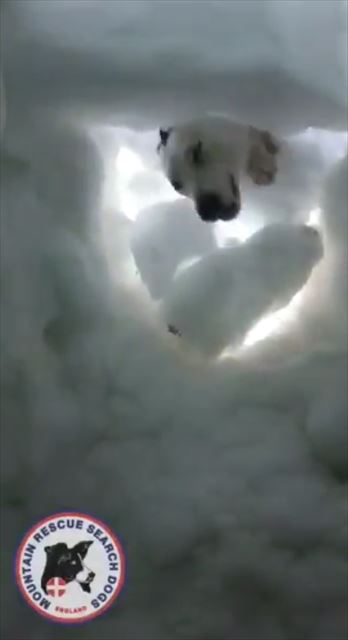 もうだめだ と思ったときに現れたのは 雪山で遭難した人の視点で撮影された映像に感動 ねとらぼ