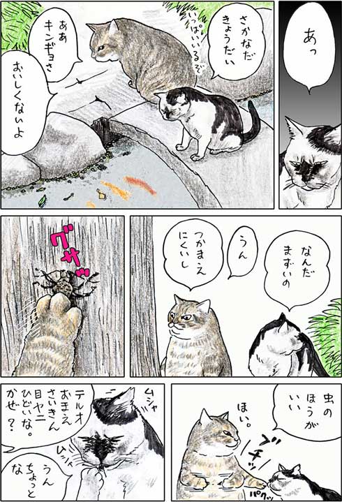 俺たちに肉をくれてありがとうよ この世で生きる猫たちの生活を見守る漫画 俺 つしま が切なくも温かい ねとらぼ