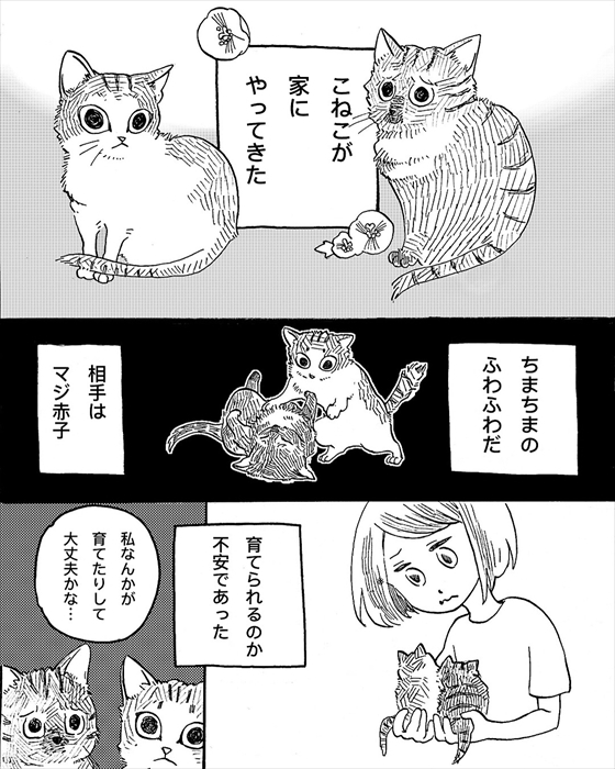 飼い主が好きすぎる猫の 頭突きドリル 熱烈に愛情表現をする猫たちとの日常を描く漫画が面白かわいい L Kanon1904 Funyako4 Jpg ねとらぼ