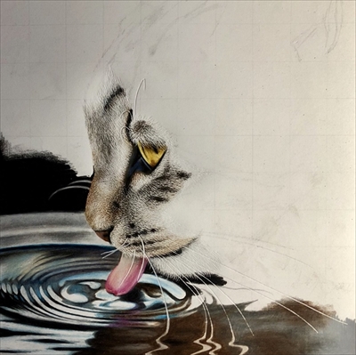 色鉛筆で描いた猫さん