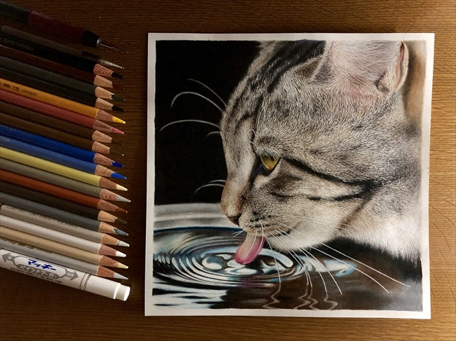 絵だと認識できない 写真みたい 18歳が色鉛筆で描いたリアルな毛並みの猫に驚きの声が寄せられる L Kh 1903neko02 Jpg ねとらぼ