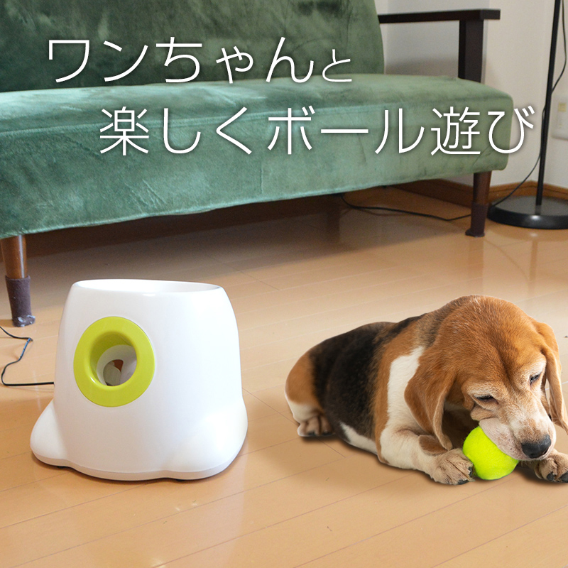 これはワンコ大喜び 飼い主がいなくてもエンドレスにボール遊びができるマシンが登場 ねとらぼ