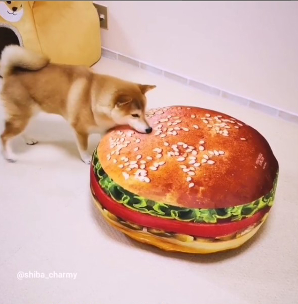 ハンバーガー クッション 柴犬