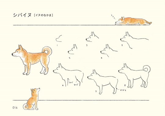 動物イラストが上手になる コツを詰め込んだ どうぶつのかたち練習帖 が便利そう L Kat1904dor05 Jpg ねとらぼ