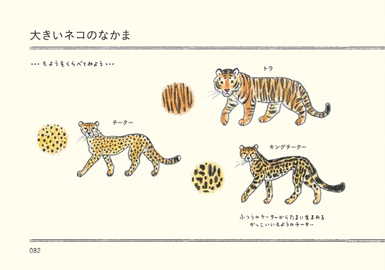 動物イラストが上手になる コツを詰め込んだ どうぶつのかたち練習帖 が便利そう ねとらぼ