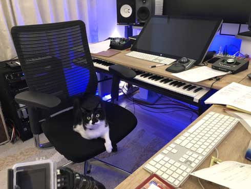 猫を飼うのをすすめない11の理由 響介 猫マスター 作曲家 エッセイ
