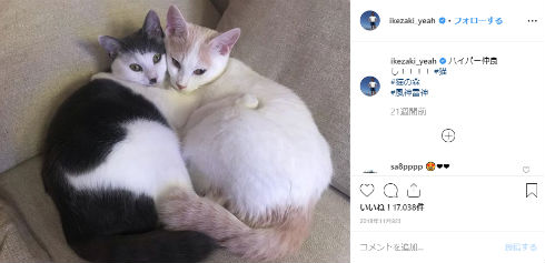 サンシャイン池崎 猫 風神 雷神 誕生日 Instagram インスタ