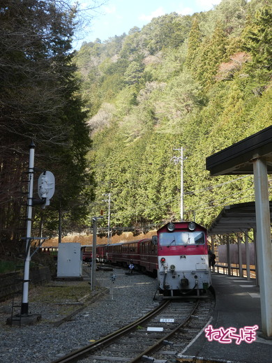 大井川鐵道 井川線 の秘境駅で駅弁を喰らう幸せ 静寂と孤独がスパイスだぜ 月刊乗り鉄話題 19年4月版 2 3 ページ ねとらぼ