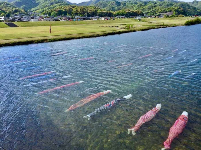川の中を泳ぐ 水中こいのぼり が絶景 山口県防府市の名物 こいながし 今年もはじまる ねとらぼ