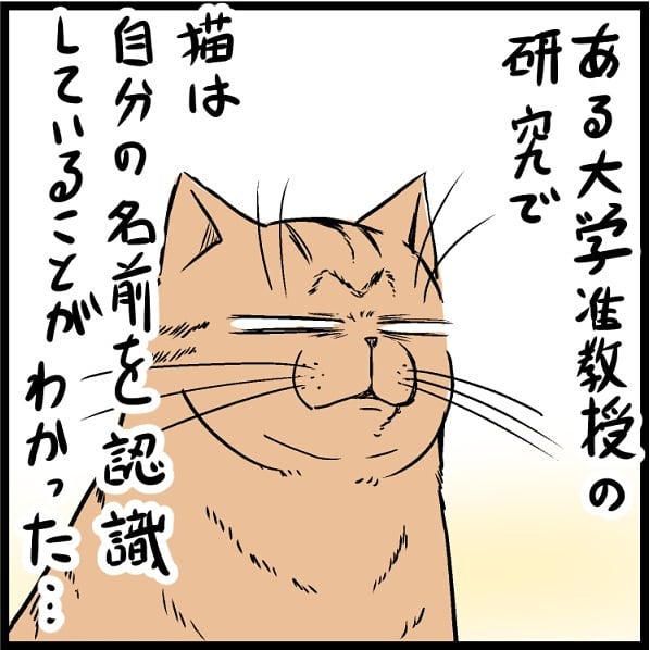 ガサッピリ 袋を開ける音 ニャ 猫は自分の名前を聞き分けられる の現実を描いた漫画が面白い ねとらぼ