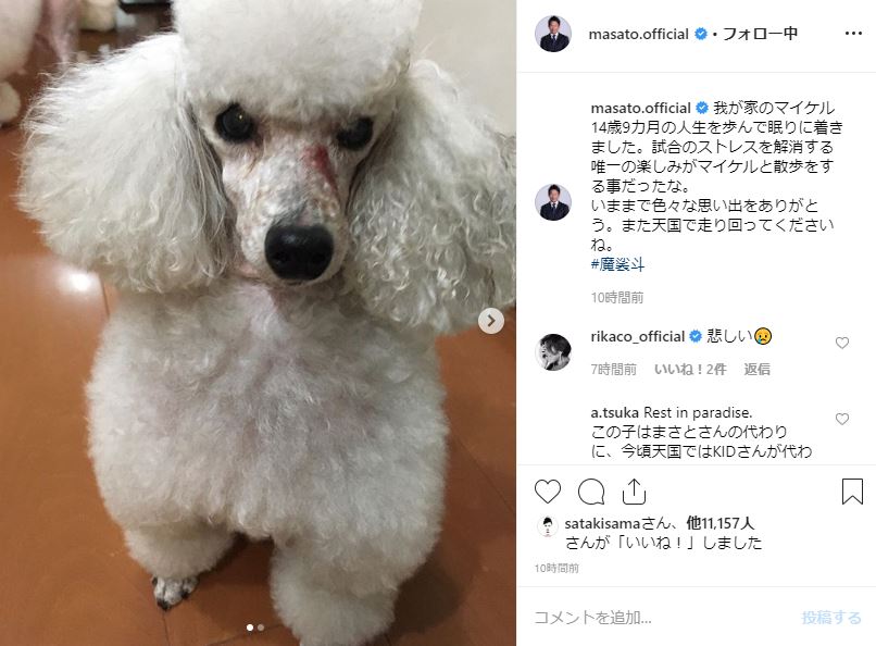 色々な思い出をありがとう また天国で走り回って 魔裟斗 愛犬マイケルの旅立ちを感謝の言葉とともに報告 ねとらぼ