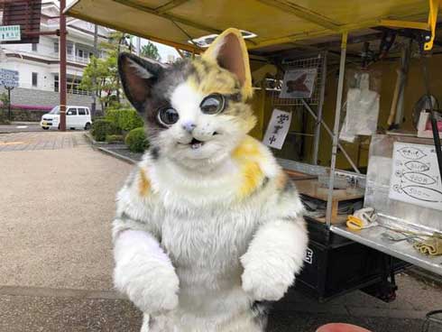 鳥取県の 猫の焼き芋屋さん がすごいモフモフ 2足歩行で接客する姿
