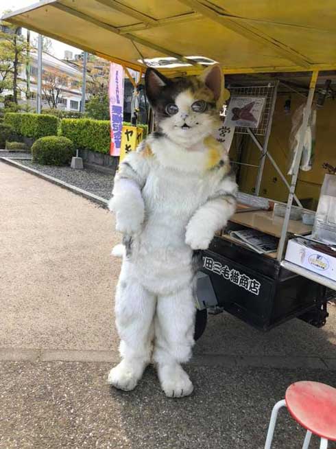 鳥取県の 猫の焼き芋屋さん がすごいモフモフ 2足歩行で接客する姿