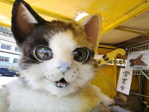 鳥取県の 猫の焼き芋屋さん がすごいモフモフ 2足歩行で接客する姿に 私も会いたい かわいい の声 ねとらぼ