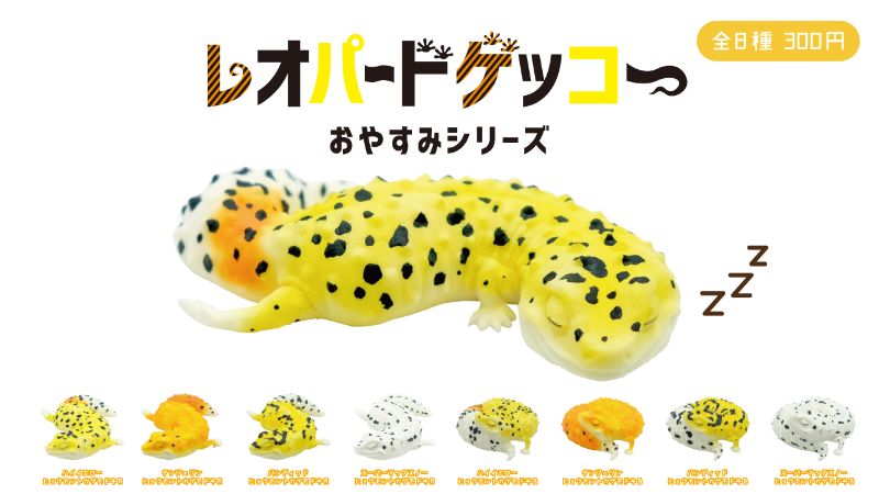 くるんと丸まった寝姿がかわいい カプセルトイ レオパードゲッコー 第3弾が登場です ねとらぼ