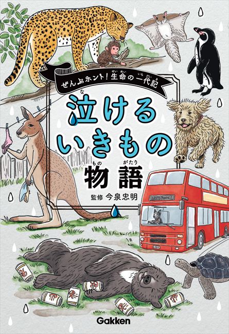 パンツを盗んで通報されたカンガルー クセが強すぎる動物のエピソードを集めた 泣けるいきもの物語 発売 ねとらぼ