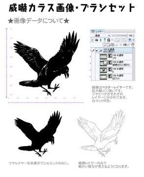 これでカラスが描き放題 威嚇しているカラスを量産可能な カラスブラシ が登場 ねとらぼ