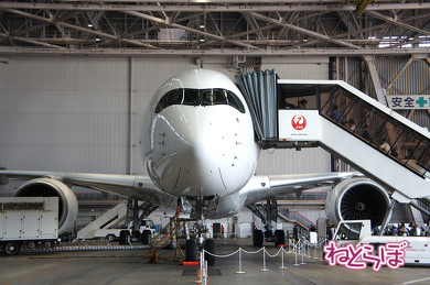 JAL エアバスA350