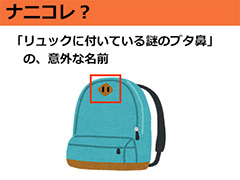 ナニコレ？】「リュックに付いている謎のブタ鼻」の意外な名前（1/10 ページ） - ねとらぼ