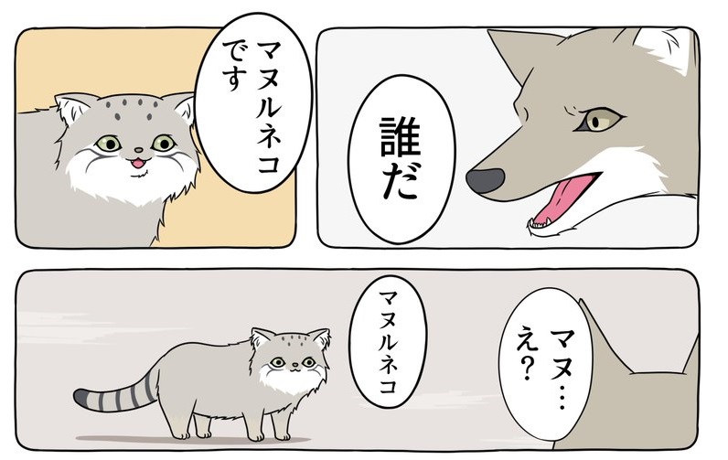 種をこえた仲良しっぷりに癒しがとまらない リスとオオカミの人気漫画に新キャラ マヌルネコ 登場 L Km1906 Rojer01 Jpg ねとらぼ