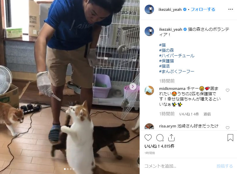 サンシャイン池崎 90匹の保護猫を救うためボランティア あなた 最高だよ 素敵すぎる と感激の声続出 ねとらぼ