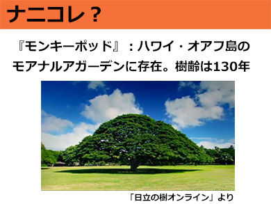 ナニコレ 歌詞の前に付くグニャグニャした へ みたいな記号 の名前 7 10 ページ ねとらぼ