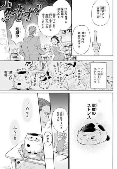 漫画 おじさまと猫 第3巻 桜井海 ふくまる 猫 去勢