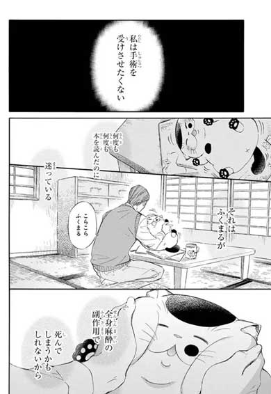 漫画 おじさまと猫 第3巻 桜井海 ふくまる 猫 去勢