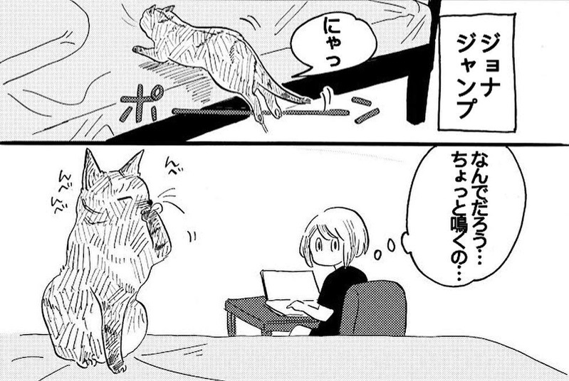 高い場所に飛び乗るときの ニャッ は人間でいう よいしょ 猫のかわいい瞬間を描いた漫画に共感の声 ねとらぼ