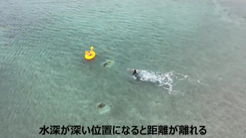 夏休みに入る前に 海水浴場での フロート事故 に注意 ねとらぼ